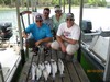 (06/10/2018) - Nice Striped Bass